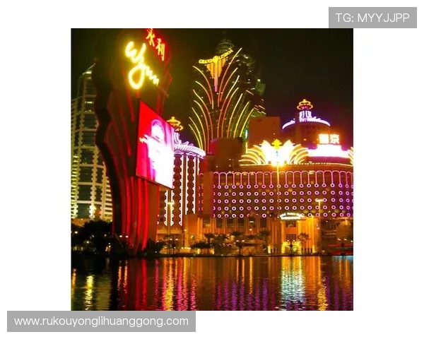 深入分析永利澳門有限公司的主要业务板块与盈利模式，助力投资者做出明智决策